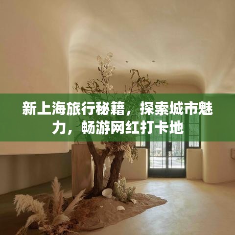 新上海旅行秘籍，探索城市魅力，暢游網(wǎng)紅打卡地