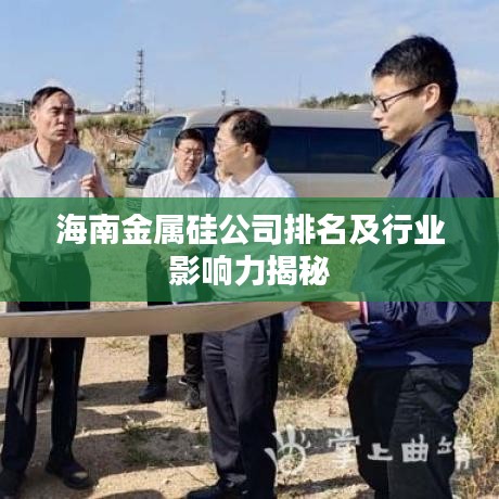 海南金屬硅公司排名及行業(yè)影響力揭秘