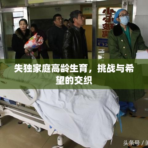 失獨家庭高齡生育，挑戰(zhàn)與希望的交織