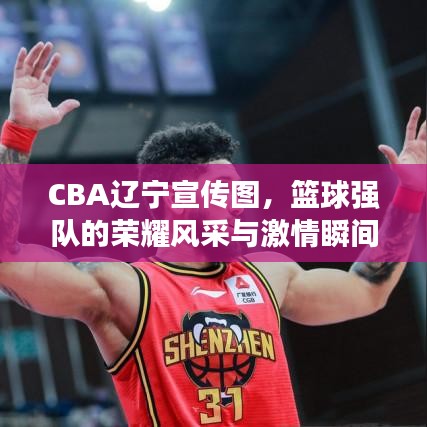 CBA遼寧宣傳圖，籃球強(qiáng)隊(duì)的榮耀風(fēng)采與激情瞬間