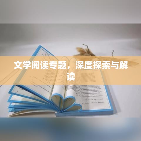 文學閱讀專題，深度探索與解讀