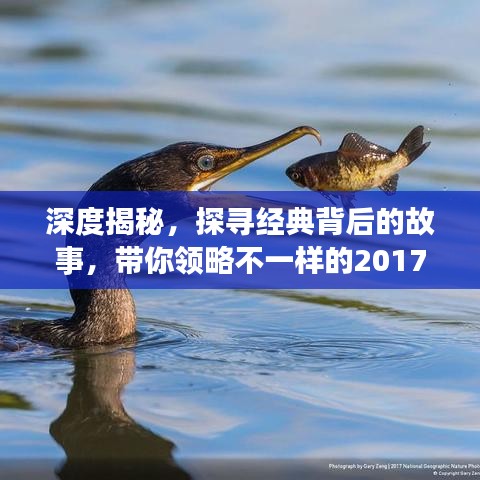深度揭秘，探尋經(jīng)典背后的故事，帶你領略不一樣的2017年