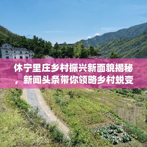 休寧里莊鄉(xiāng)村振興新面貌揭秘，新聞?lì)^條帶你領(lǐng)略鄉(xiāng)村蛻變風(fēng)采