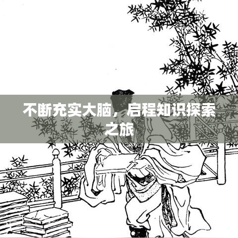 不斷充實大腦，啟程知識探索之旅