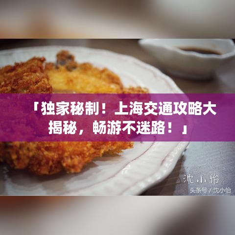 「獨(dú)家秘制！上海交通攻略大揭秘，暢游不迷路！」