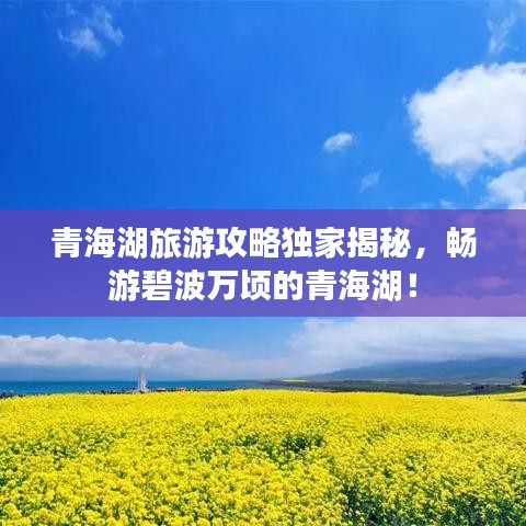 青海湖旅游攻略獨(dú)家揭秘，暢游碧波萬頃的青海湖！