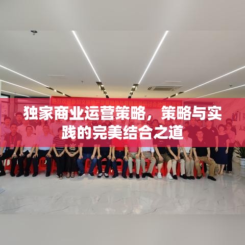 獨家商業(yè)運營策略，策略與實踐的完美結(jié)合之道