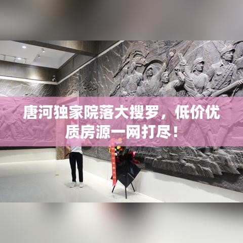 唐河獨家院落大搜羅，低價優(yōu)質(zhì)房源一網(wǎng)打盡！