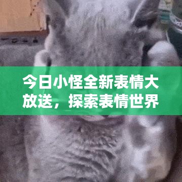 今日小怪全新表情大放送，探索表情世界的無限魅力！