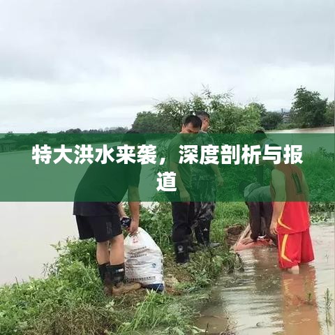 特大洪水來襲，深度剖析與報道