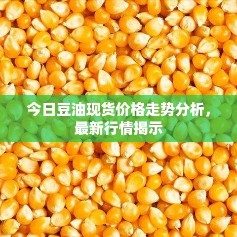 今日豆油現(xiàn)貨價(jià)格走勢分析，最新行情揭示