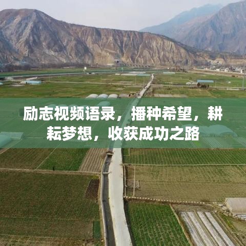 勵志視頻語錄，播種希望，耕耘夢想，收獲成功之路