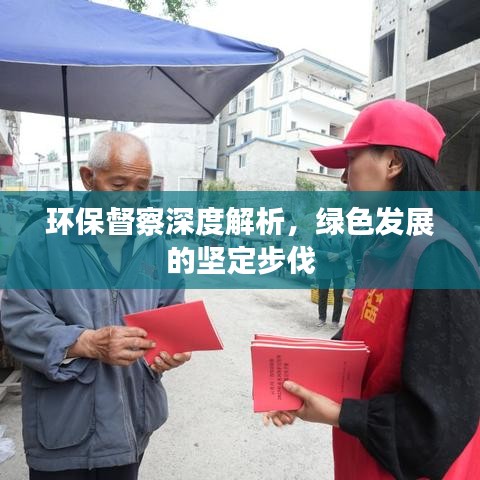 環(huán)保督察深度解析，綠色發(fā)展的堅(jiān)定步伐