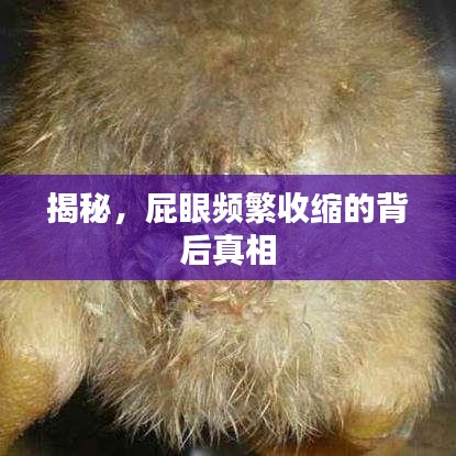 揭秘，屁眼頻繁收縮的背后真相