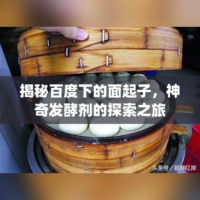揭秘百度下的面起子，神奇發(fā)酵劑的探索之旅