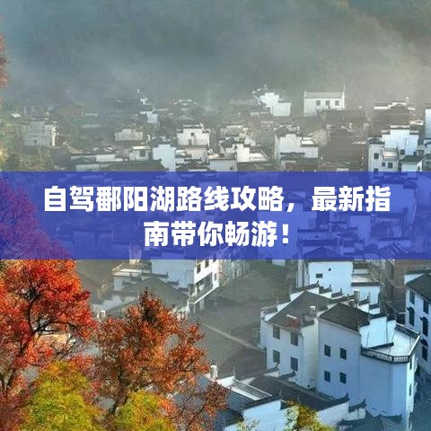 自駕鄱陽(yáng)湖路線攻略，最新指南帶你暢游！