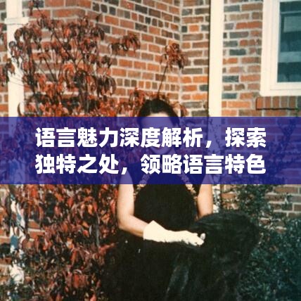 語言魅力深度解析，探索獨特之處，領略語言特色專題的魅力