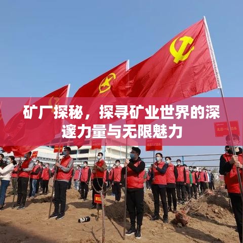 礦廠探秘，探尋礦業(yè)世界的深邃力量與無限魅力