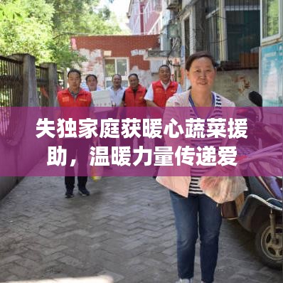 失獨家庭獲暖心蔬菜援助，溫暖力量傳遞愛