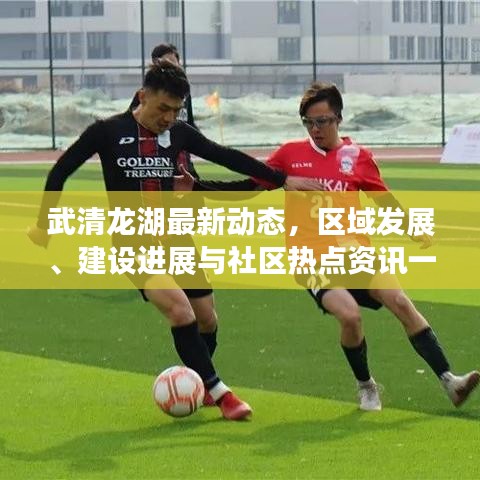 武清龍湖最新動(dòng)態(tài)，區(qū)域發(fā)展、建設(shè)進(jìn)展與社區(qū)熱點(diǎn)資訊一網(wǎng)打盡