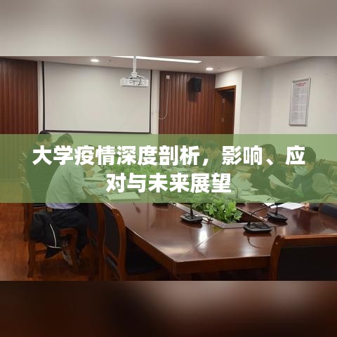 大學(xué)疫情深度剖析，影響、應(yīng)對(duì)與未來(lái)展望