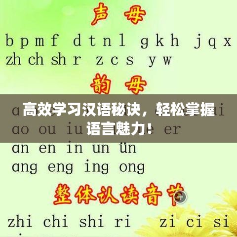 高效學(xué)習(xí)漢語秘訣，輕松掌握語言魅力！