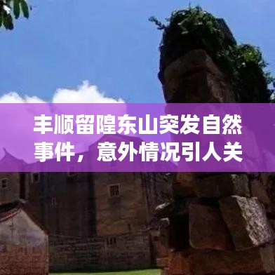 豐順留隍東山突發(fā)自然事件，意外情況引人關(guān)注