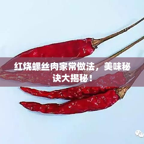 紅燒螺絲肉家常做法，美味秘訣大揭秘！