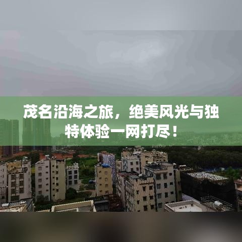 茂名沿海之旅，絕美風(fēng)光與獨(dú)特體驗(yàn)一網(wǎng)打盡！