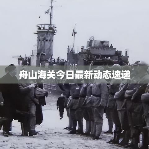 舟山海關今日最新動態(tài)速遞