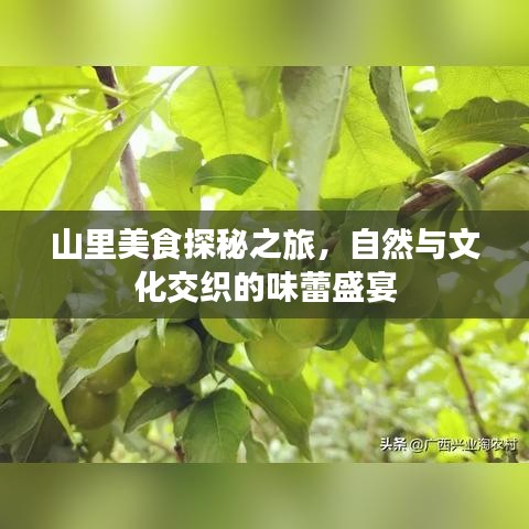 山里美食探秘之旅，自然與文化交織的味蕾盛宴