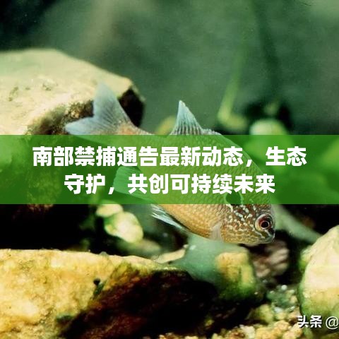 南部禁捕通告最新動(dòng)態(tài)，生態(tài)守護(hù)，共創(chuàng)可持續(xù)未來