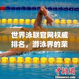 世界泳聯(lián)官網(wǎng)權(quán)威排名，游泳界的榮耀榜單，榮譽(yù)盡在其中！