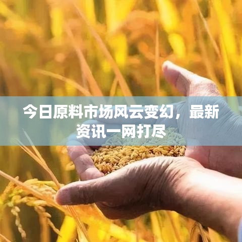 今日原料市場(chǎng)風(fēng)云變幻，最新資訊一網(wǎng)打盡
