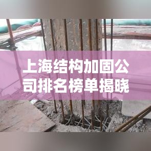 上海結(jié)構(gòu)加固公司排名榜單揭曉，權(quán)威推薦，專業(yè)可靠！