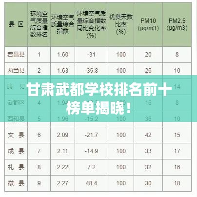 甘肅武都學校排名前十榜單揭曉！