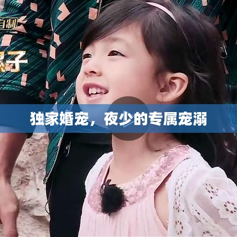 獨(dú)家婚寵，夜少的專屬寵溺