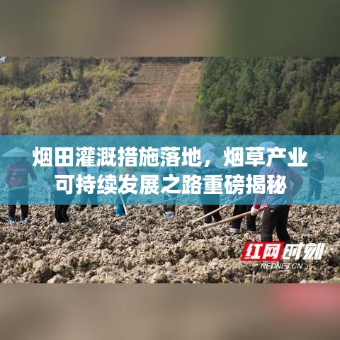 煙田灌溉措施落地，煙草產(chǎn)業(yè)可持續(xù)發(fā)展之路重磅揭秘