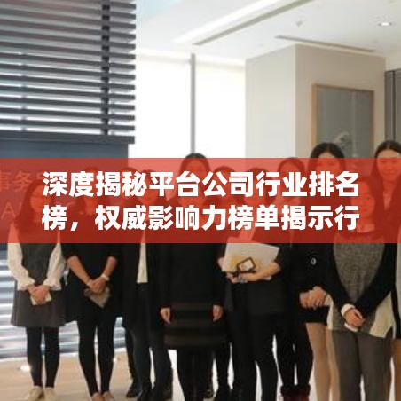 深度揭秘平臺(tái)公司行業(yè)排名榜，權(quán)威影響力榜單揭示行業(yè)力量