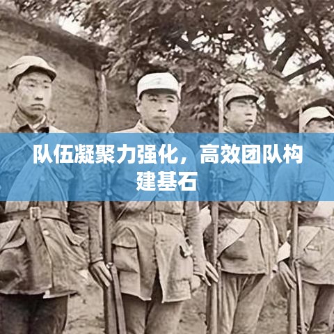 隊(duì)伍凝聚力強(qiáng)化，高效團(tuán)隊(duì)構(gòu)建基石