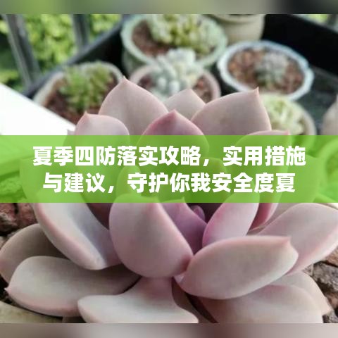 飛揚(yáng)撥扈 第3頁(yè)