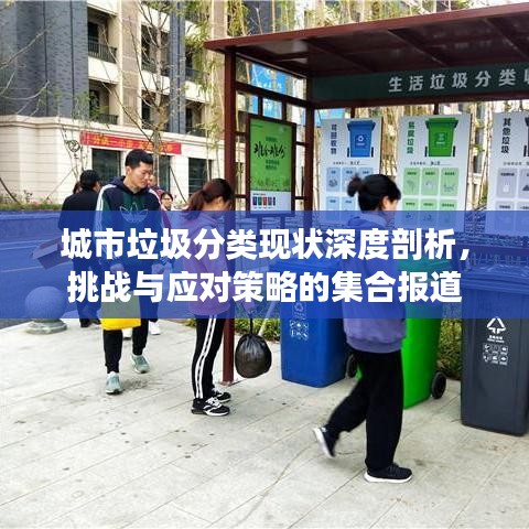 城市垃圾分類現(xiàn)狀深度剖析，挑戰(zhàn)與應(yīng)對(duì)策略的集合報(bào)道