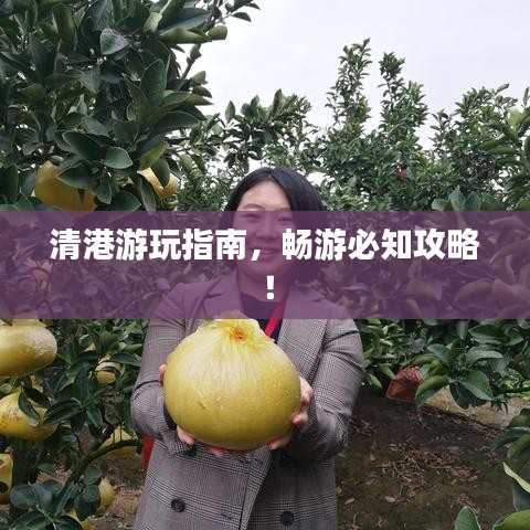 清港游玩指南，暢游必知攻略！