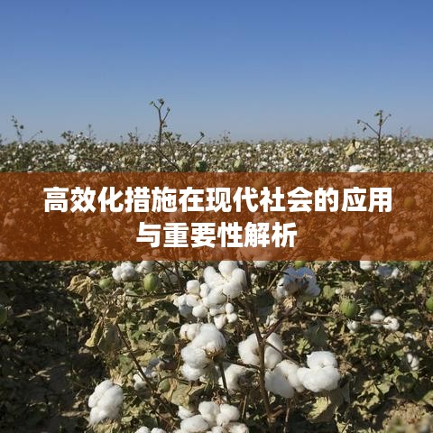 高效化措施在現(xiàn)代社會的應(yīng)用與重要性解析