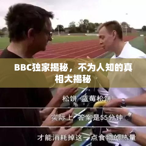 BBC獨家揭秘，不為人知的真相大揭秘
