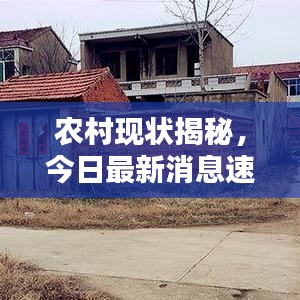 農(nóng)村現(xiàn)狀揭秘，今日最新消息速遞