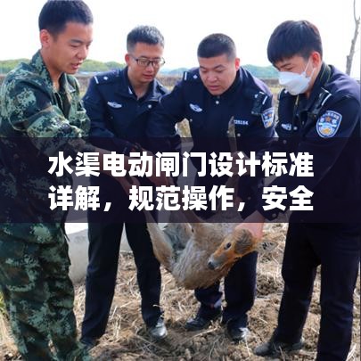 水渠電動閘門設(shè)計標(biāo)準(zhǔn)詳解，規(guī)范操作，安全無憂