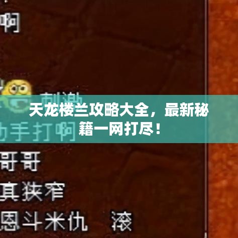 天龍樓蘭攻略大全，最新秘籍一網(wǎng)打盡！