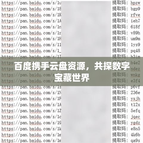 百度攜手云盤資源，共探數(shù)字寶藏世界