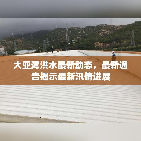 大亞灣洪水最新動態(tài)，最新通告揭示最新汛情進展